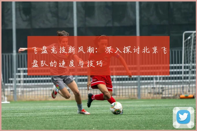 飞盘竞技新风潮：深入探讨北京飞盘队的速度与技巧