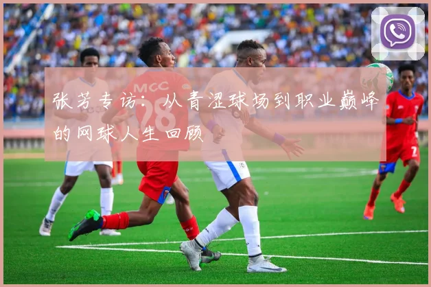 张芳专访：从青涩球场到职业巅峰的网球人生回顾