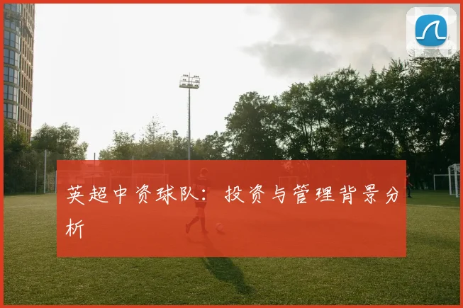 英超中资球队：投资与管理背景分析